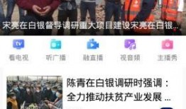 最新爆料白银版,揭秘神秘功能与升级亮点